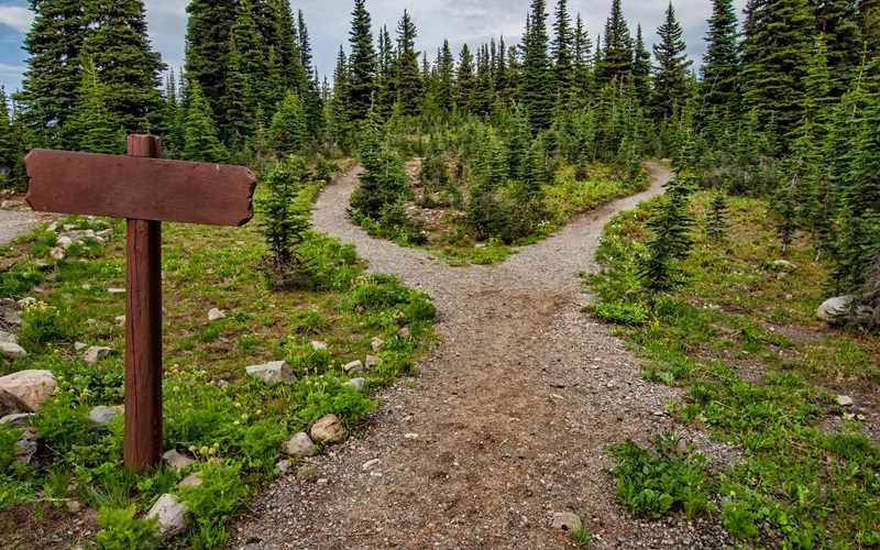 You are currently viewing The Weight of Unlived Lives: Regret and the Roads We Never Took