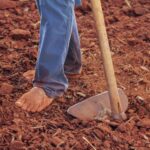 The Soil Doesn’t Sing Anymore