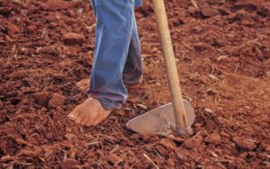 Read more about the article The Soil Doesn’t Sing Anymore