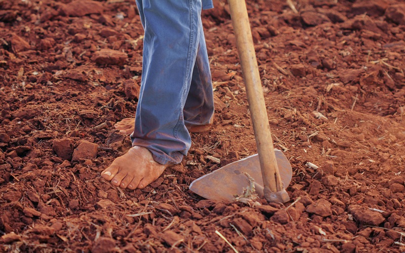 You are currently viewing The Soil Doesn’t Sing Anymore