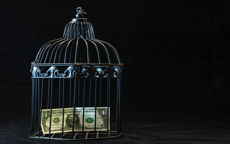 a dollar bill in a bird cage