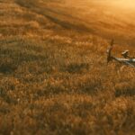 The Art of the Fallow Season