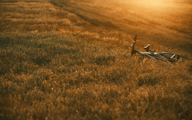 You are currently viewing The Art of the Fallow Season